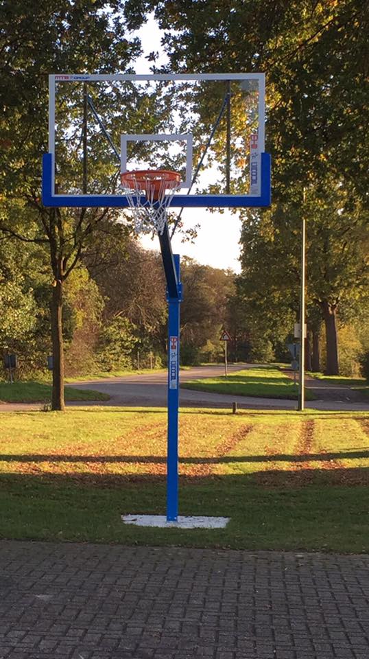 Basketbalpaal PROFI-outdoor 14 Duurzame basketbalpalen met een zeer professionele uitstraling. De staanders kunnen in bijna iedere ral kleur gecoat worden.