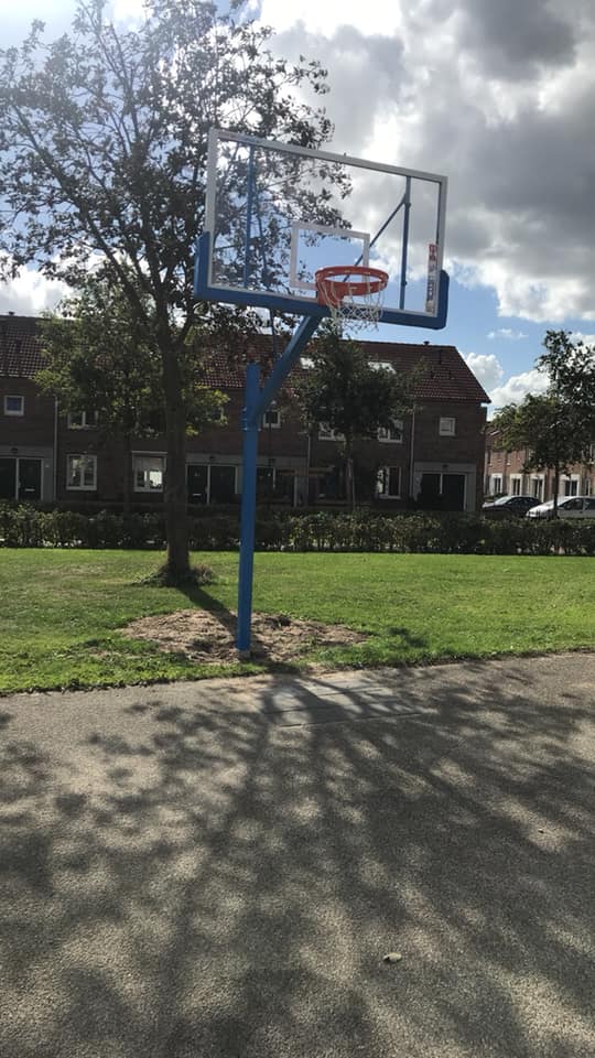 Basketbalpaal PROFI-outdoor 12 Deze basketbalpalen zijn ideaal voor het zogenaamde 3 x 3 pleintjes-basketbal. Een sport waar Nederland meedraait in de wereldtop!