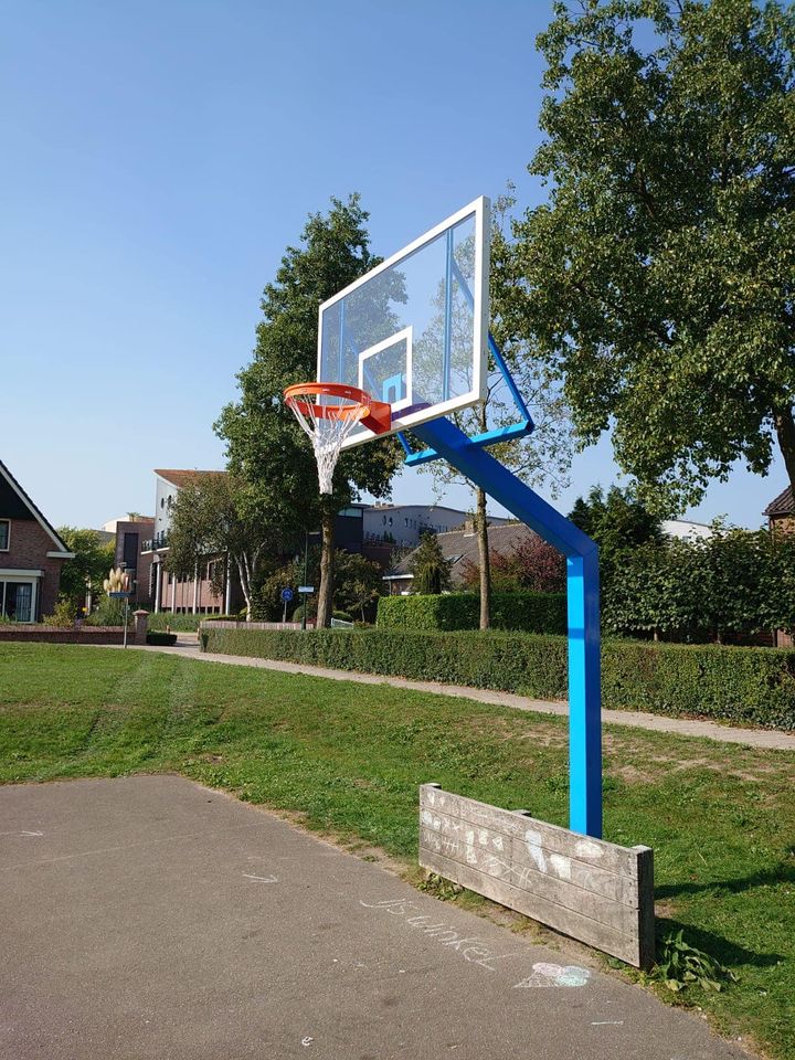 Basketbalpaal PROFI-outdoor 1 Basketbalpaal met een oversteek van maar liefst 1.65 meter.