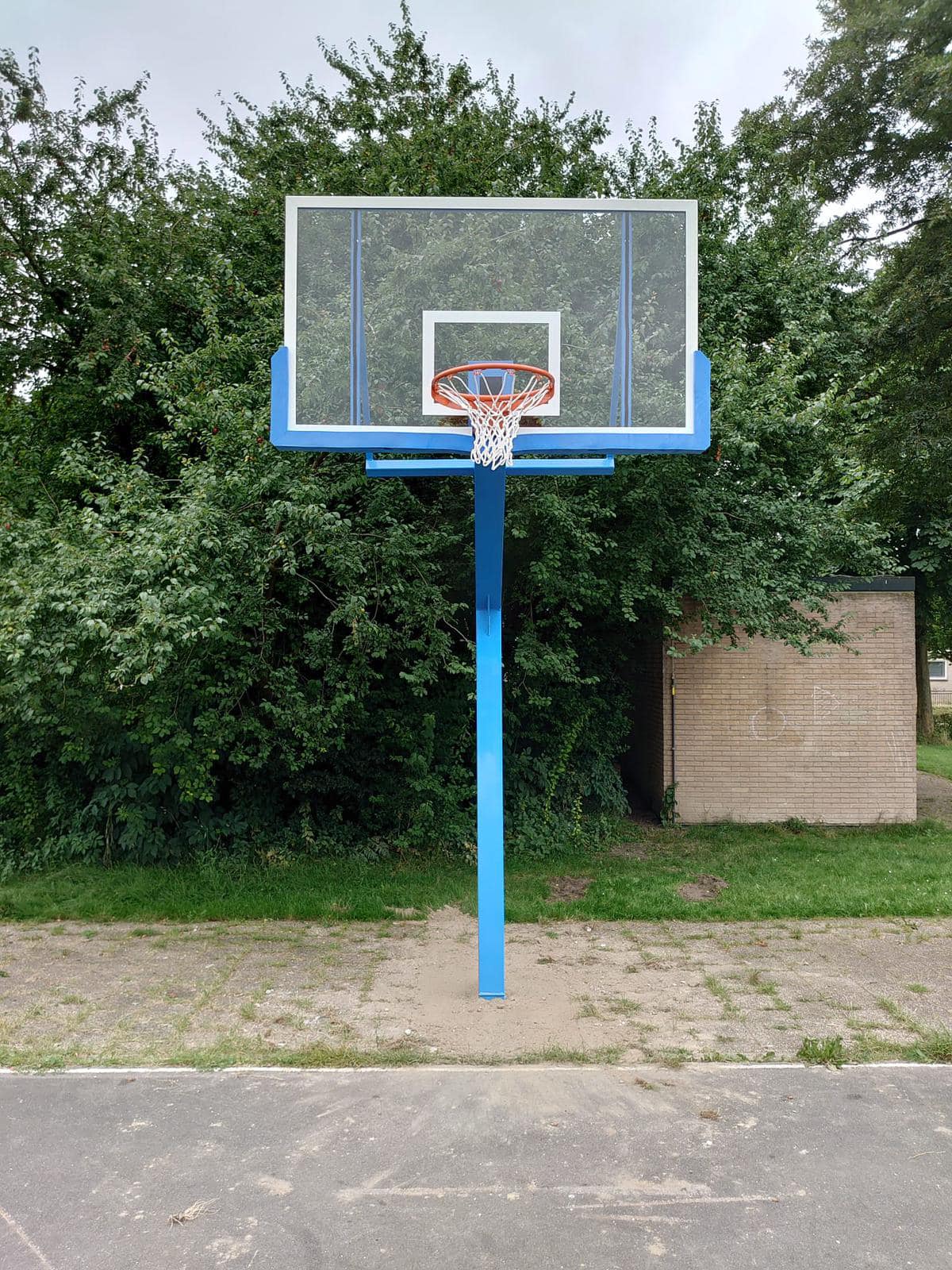 Basketbalpaal PROFI-outdoor 41 eModel Profi, en hoogwaardige en professionele basketbalpaal, perfect voor intensieve trainingen en spannende wedstrijden met vrienden en familie!