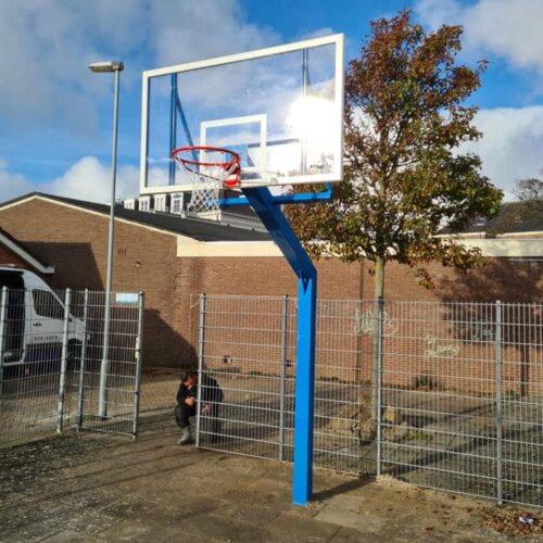Basketbalpaal PROFI-outdoor 105 basketbalpaal met wedstrijdbord 2
