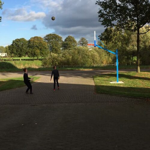 Basketbalbord Profi compleet 13 Zowel voor de binnen als buitenruimte geschikte basketbalborden.
