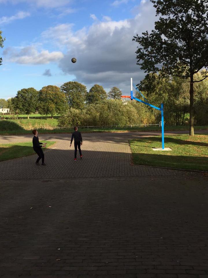 Basketbalbord Profi compleet 3 Zowel voor de binnen als buitenruimte geschikte basketbalborden.