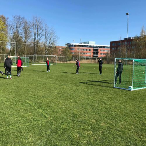 Voetbaldoeltjes model KD-PRO 17 Volledig gelast aluminium, inwendig verstevigde hoeken. Compleet met net en nethaken. Voetbaldoeltjes model KD Pro. Op de afbeelding het G-elftal van FC Groningen met deze doelen aan het trainen