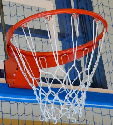Basketbalbord Profi compleet 6 Afgebeeld de optionele verende dunkring
