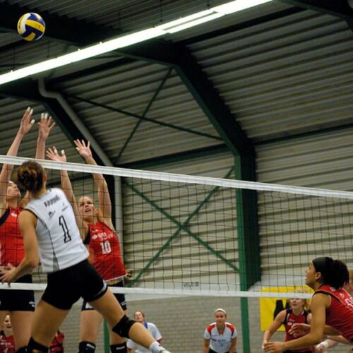 FIVB wedstrijd-net 3 Volleybalnetten uit het topsegment