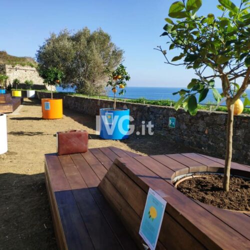 Plantenbak Lydia in de ronde uitvoeringen in diverse vrolijke ral kleuren uitgevoerd.