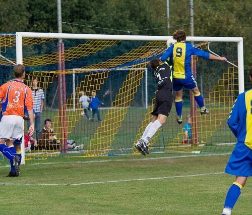Doelnetten knooploos 7.5 x 2.5 x 0.9 x 2m 6 Voetbaldoelnet knooploos in het blauw-geel. Knooploos PP voor de mooiste doelnet-ophanging.