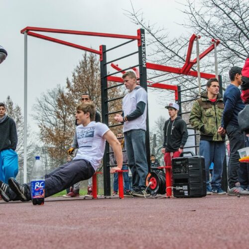 Calisthenics toestel Nippur S 113 buiten fitness calisthenics buiten fitness calisthenics g