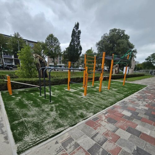 Calisthenics toestel Nippur S 133 buiten fitness calisthenics 2