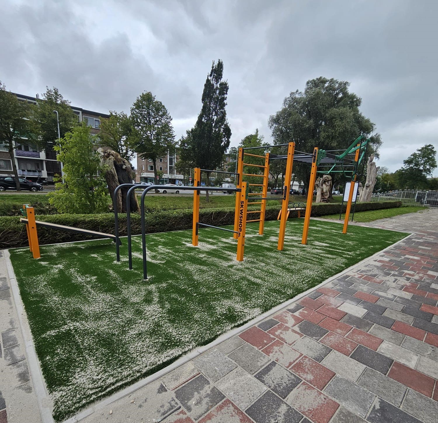 Calisthenics toestel Nippur S 62 Calisthenics toestel Nippur S - Afbeelding 62