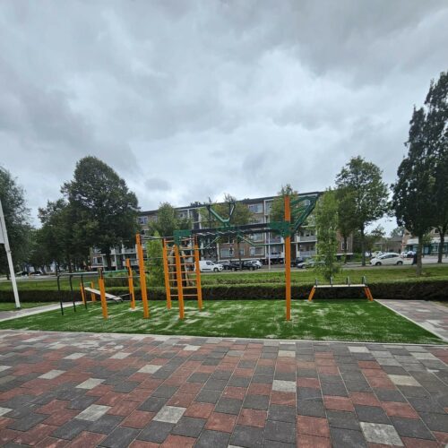 Calisthenics toestel Nippur S 134 buiten fitness toestellen 21