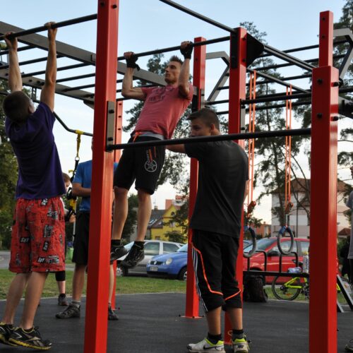 Calisthenics toestel Nippur S 107 calisthenics toestel bootcamp stations a