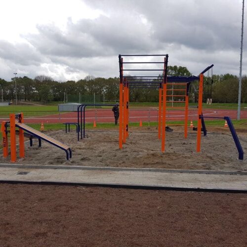 Calisthenics toestel Nippur S 100 calisthenics toestellen amersfoort fitness skwshop calisthenics toestellen amersfoort fitness skwshop z