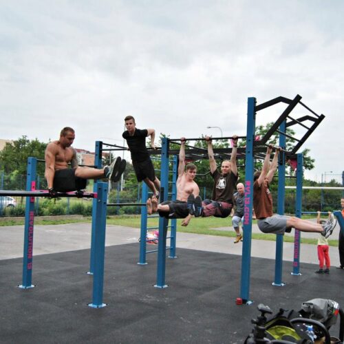 Calisthenics toestel Nippur S 83 calisthenicstoestel nippur calisthenicstoestel nippur i